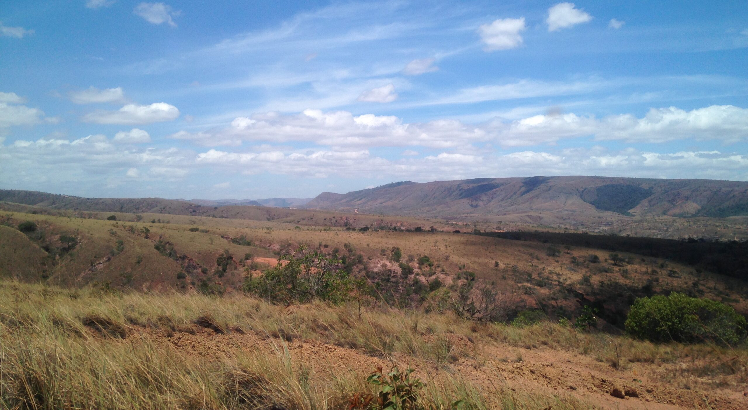 LAVRADO - A savana amazônica de Roraima que o Brasil precisa conhecer e ...